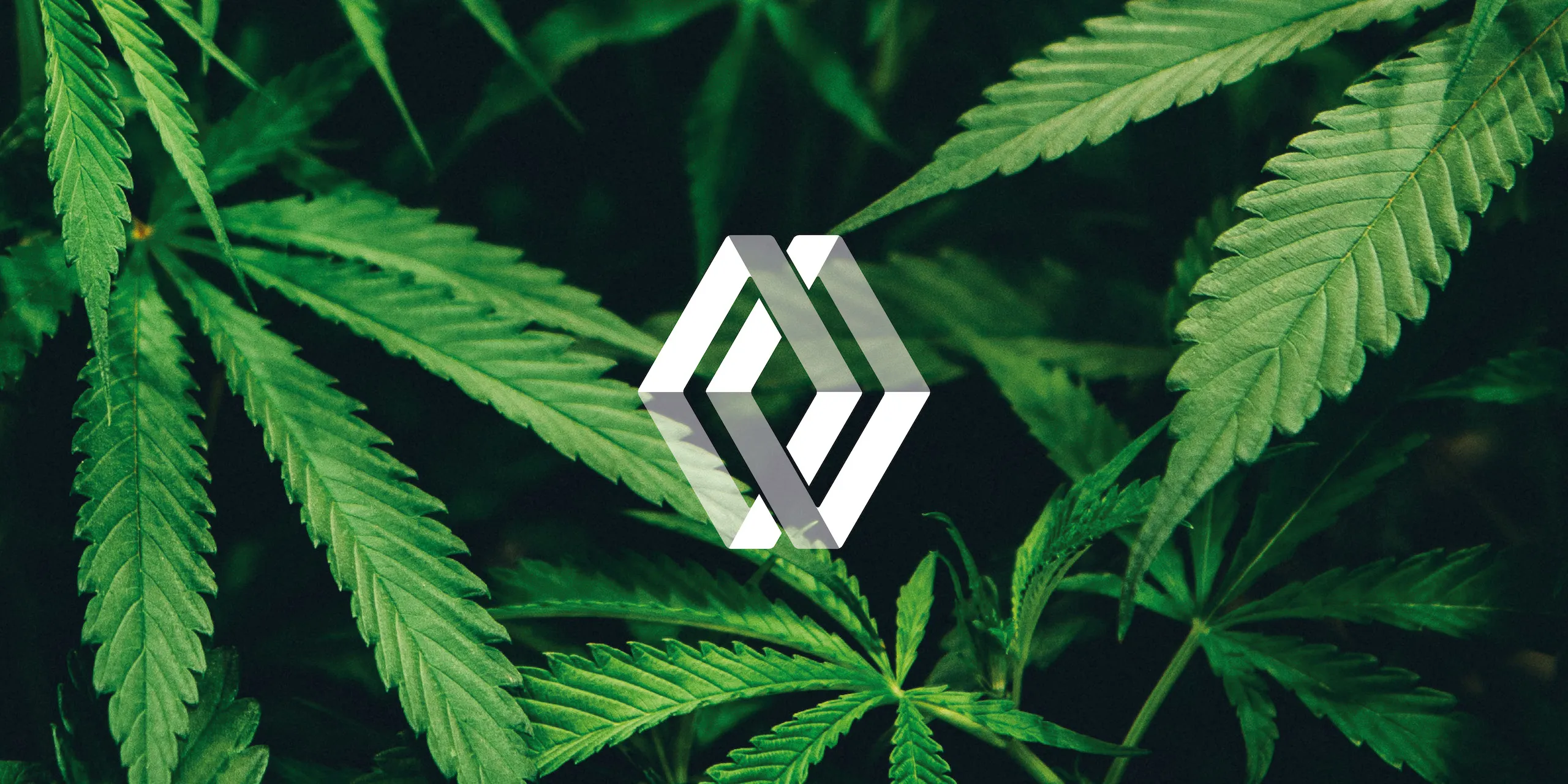 Arelant double diamond logo in white against a background of green cannabis leaves