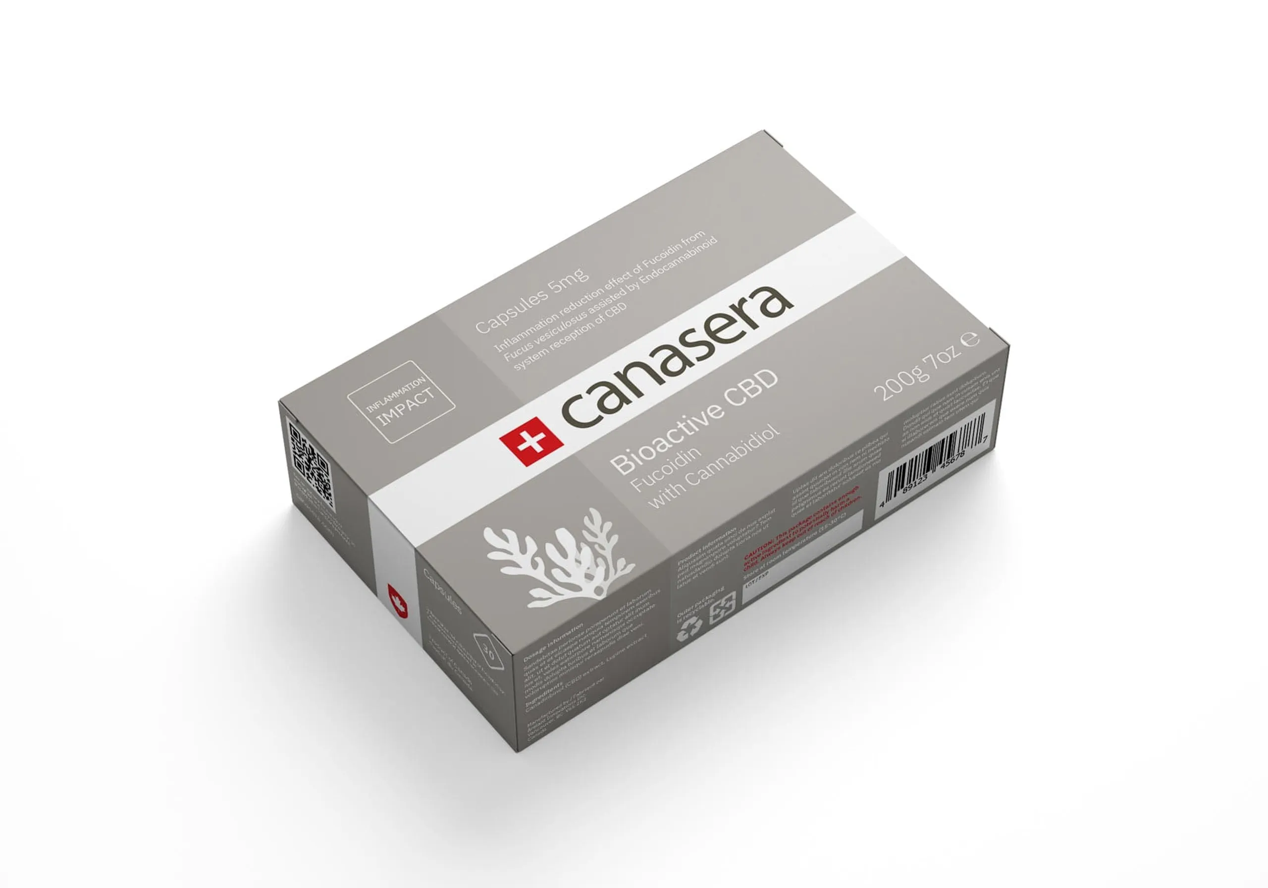 Package mockup