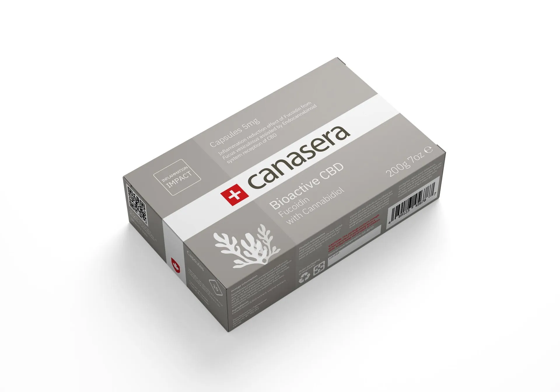 Package mockup