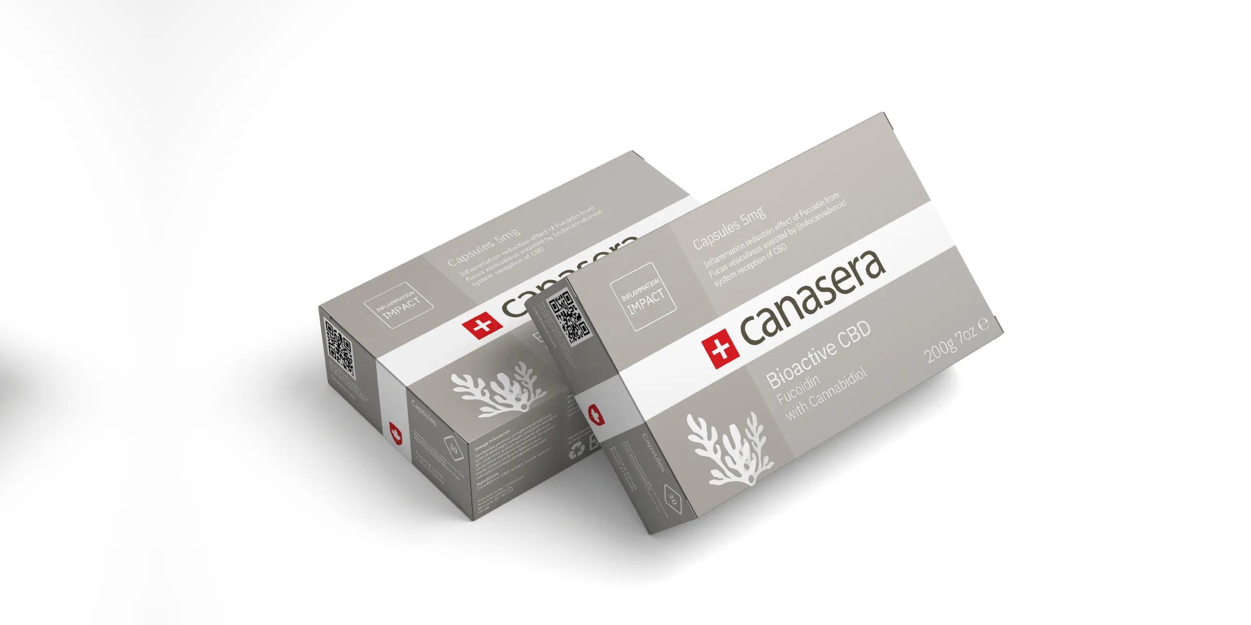 Package mockup