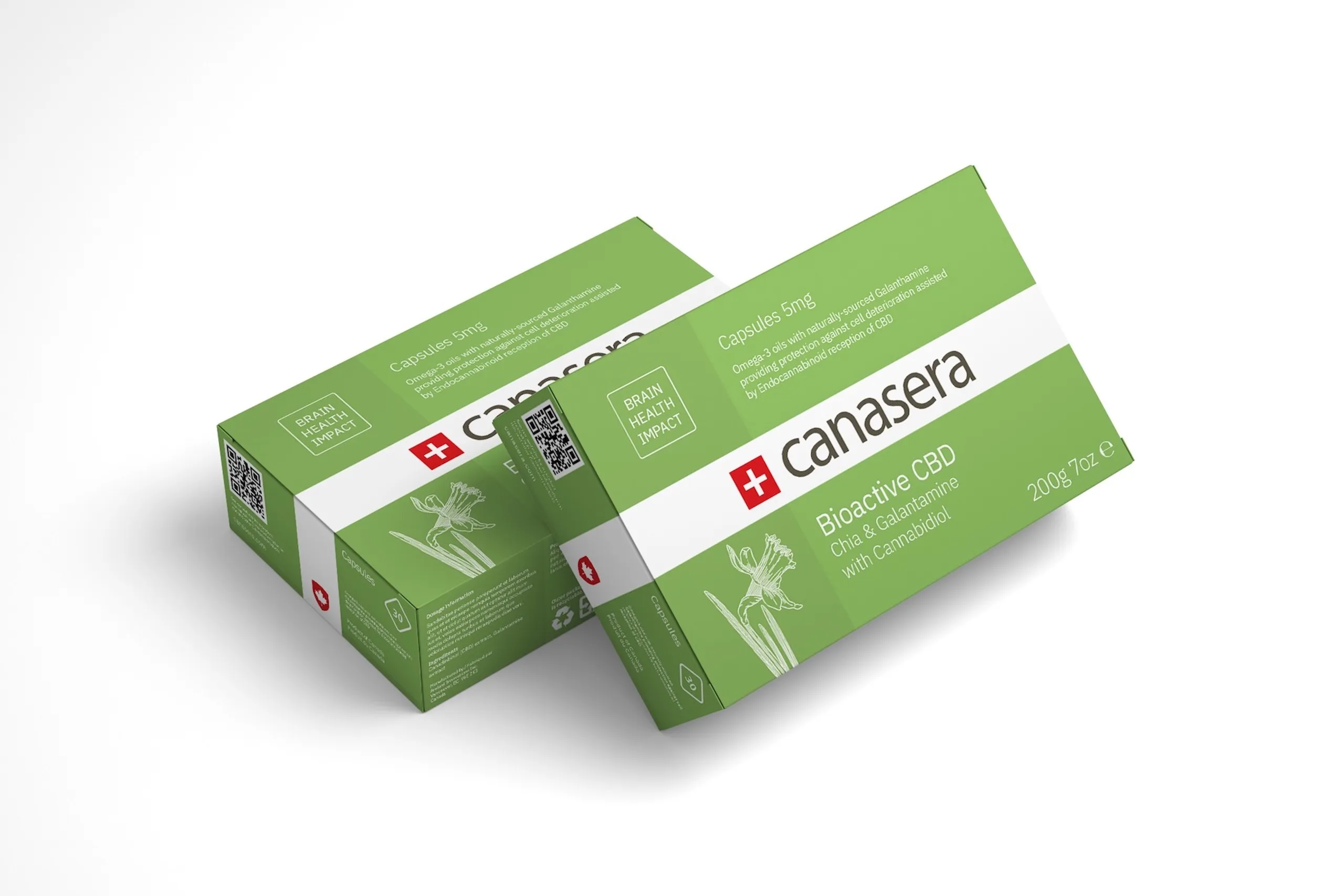 Package mockup