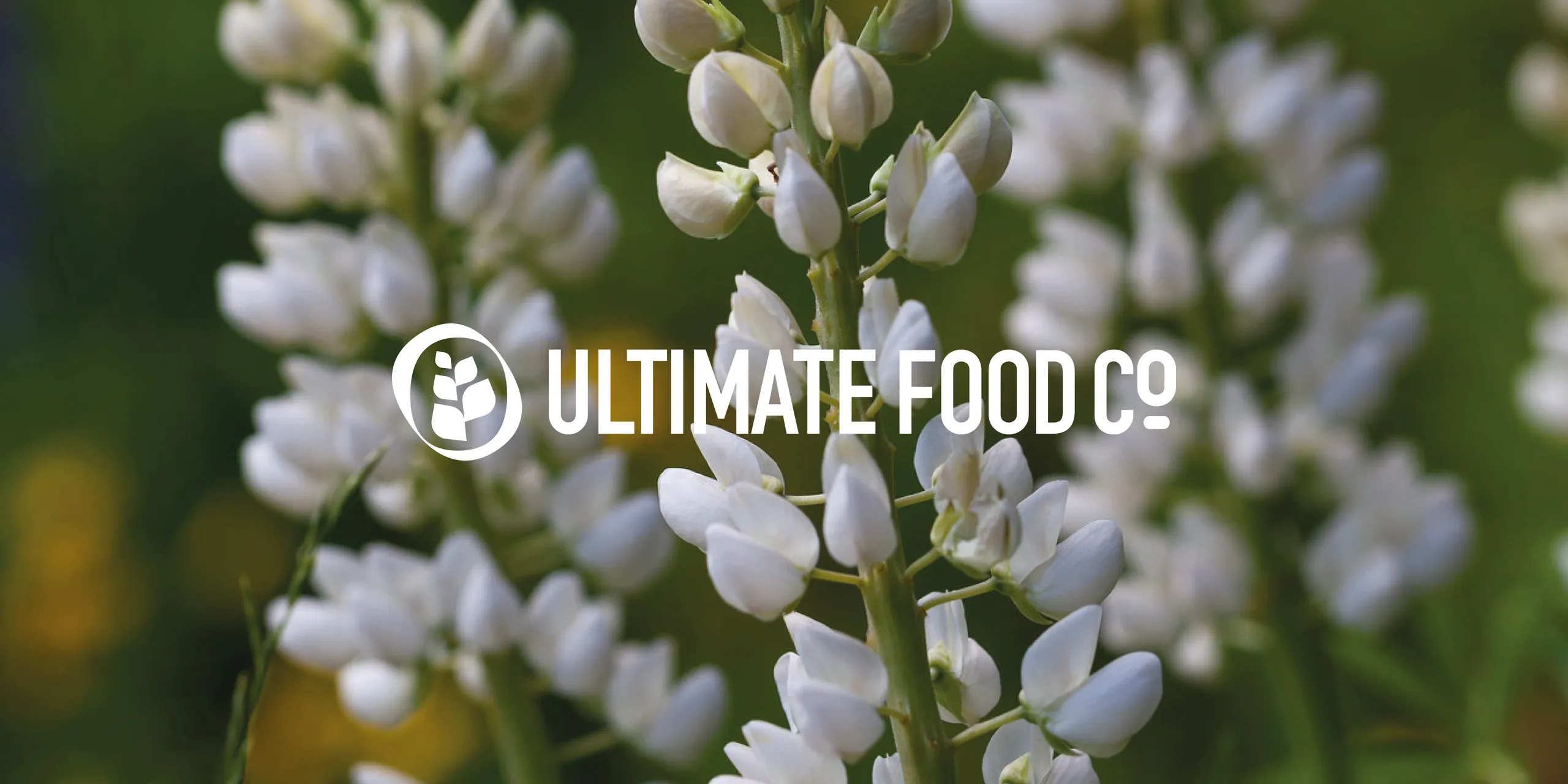 Ultimate Food Company logo in white on a green ground
